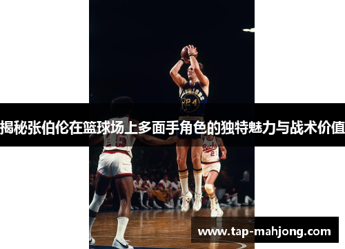 揭秘张伯伦在篮球场上多面手角色的独特魅力与战术价值