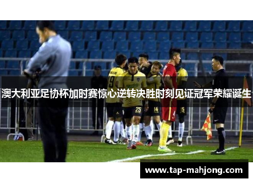 澳大利亚足协杯加时赛惊心逆转决胜时刻见证冠军荣耀诞生