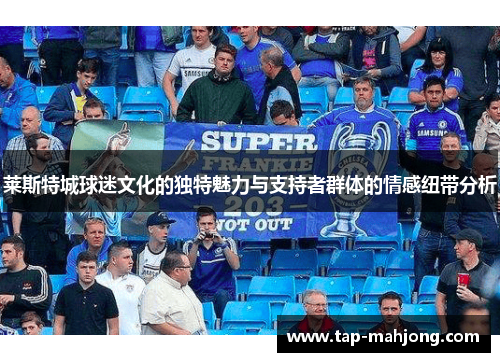 莱斯特城球迷文化的独特魅力与支持者群体的情感纽带分析