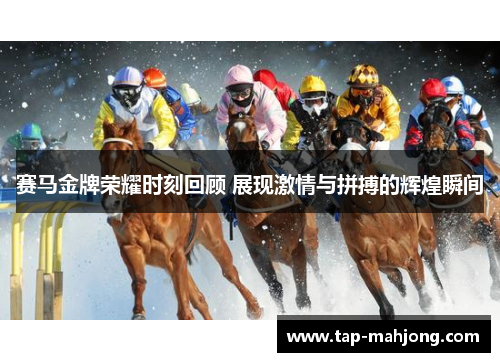 赛马金牌荣耀时刻回顾 展现激情与拼搏的辉煌瞬间