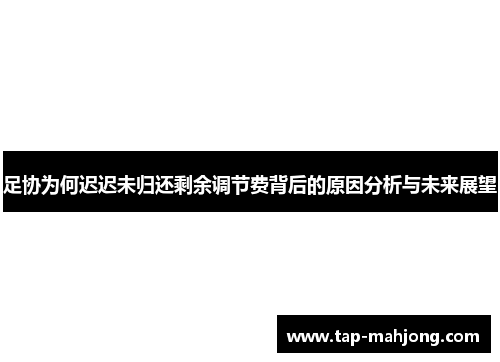 足协为何迟迟未归还剩余调节费背后的原因分析与未来展望