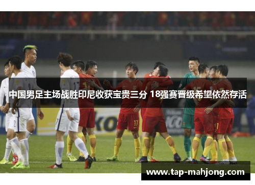 中国男足主场战胜印尼收获宝贵三分 18强赛晋级希望依然存活 中国男足主场战胜印尼收获宝贵三分 18强赛晋级希望依然存活